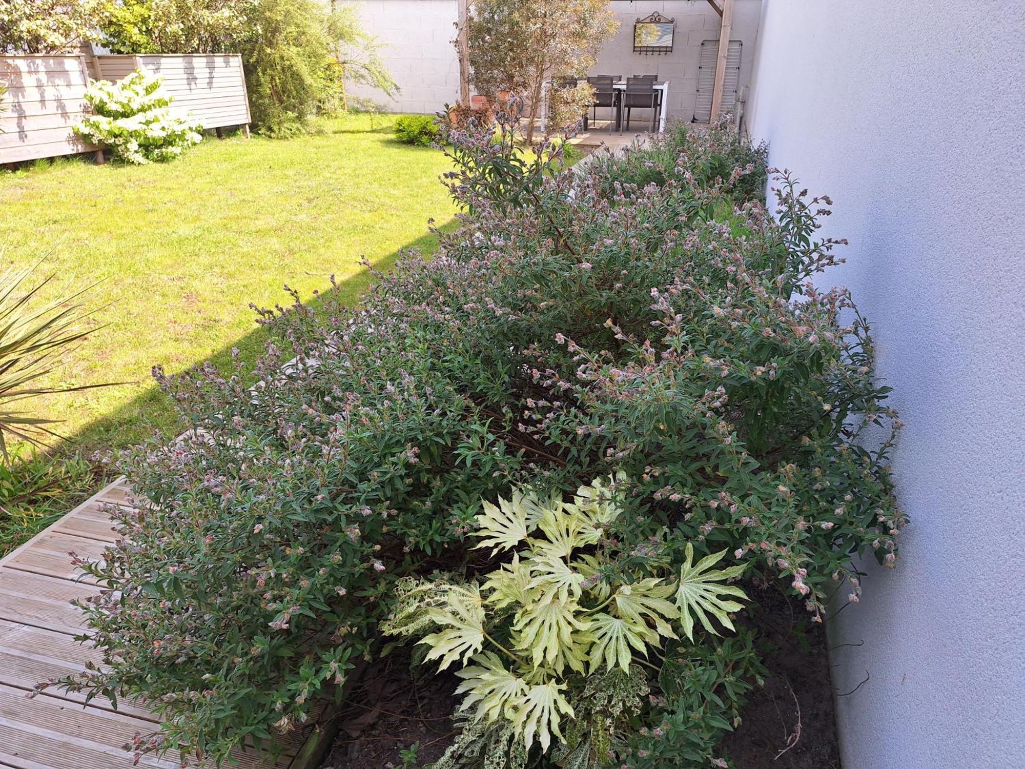 Planchesdisa Villa Saint-Pair-sur-Mer Exteriör bild
